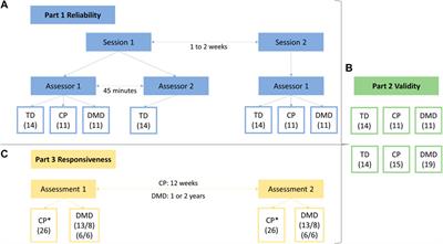 Instrumented strength assessment in typically developing children and children with a neural or neuromuscular disorder: A reliability, validity and responsiveness study